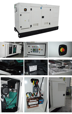 Silent Low Fuel Consumption Diesel Generator Set Włochy FPT FPT Engine